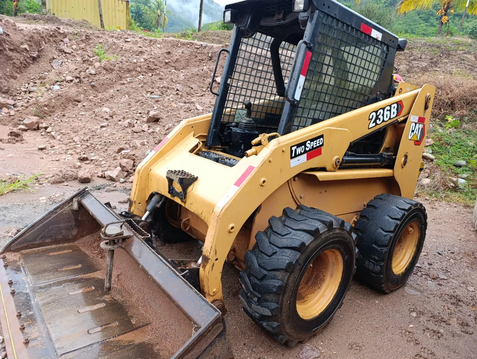 Minicargadores CATERPILLAR 236 B3 (2013)