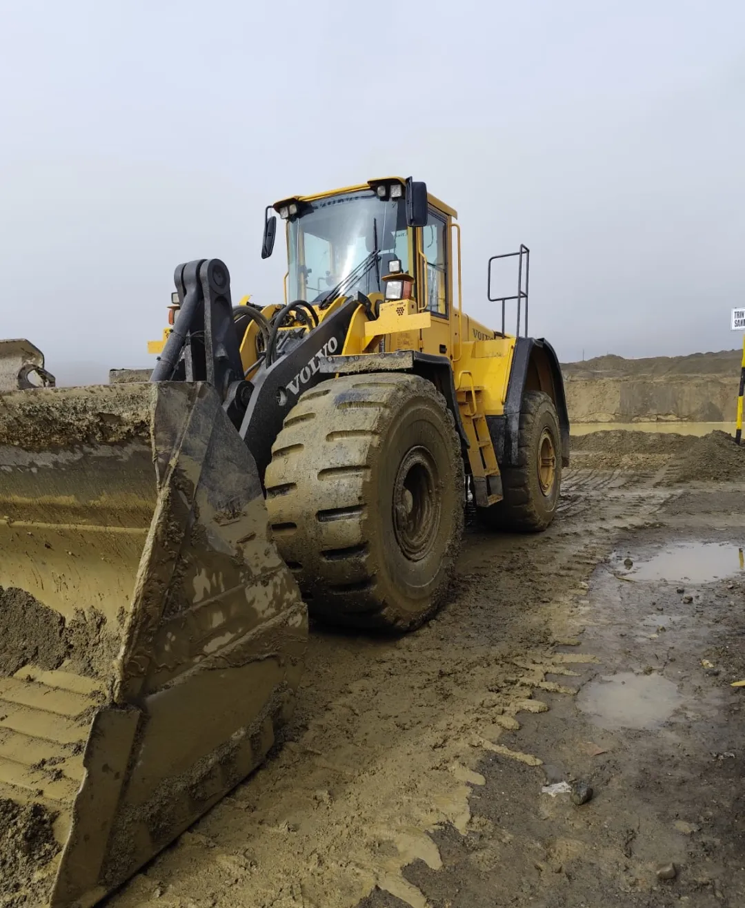 Cargador frontal VOLVO L180F (2007)