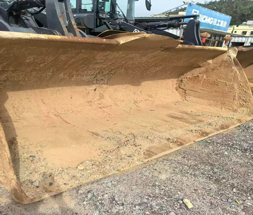 Cargador frontal XCMG LW600FV (2021) - Foto # 4