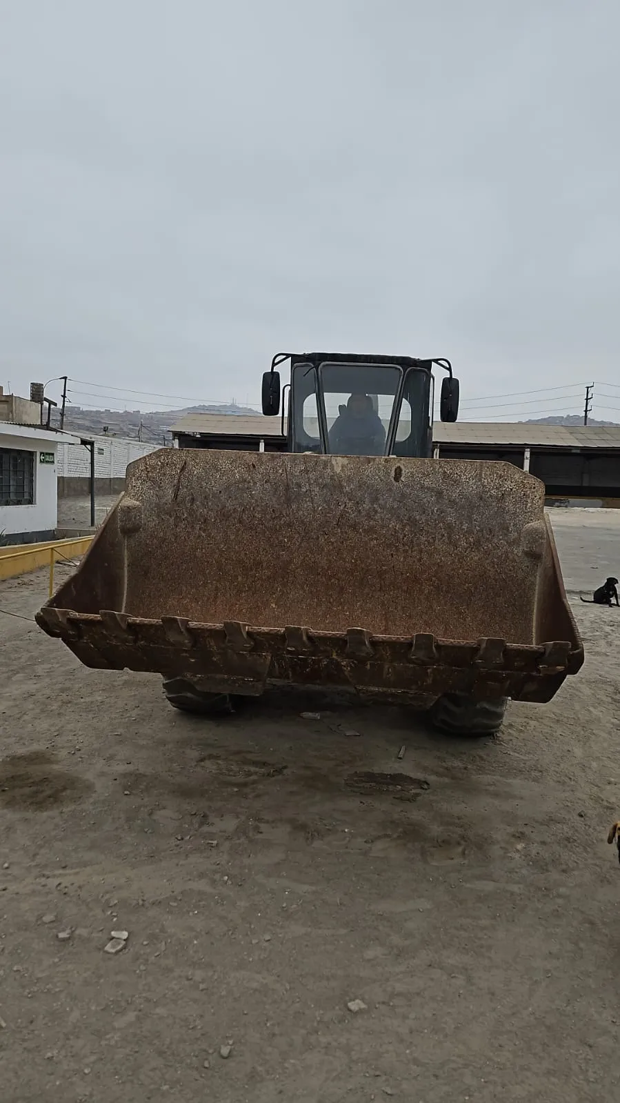 Cargador frontal CATERPILLAR 966 C (1993) - Foto # 5