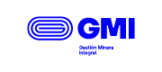 GMI